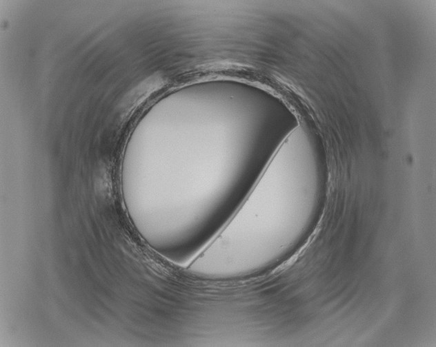 X0000076301305200609290719