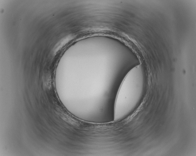 X0000076301306200609290719