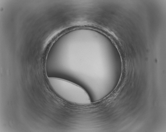 X0000076301311200609290719