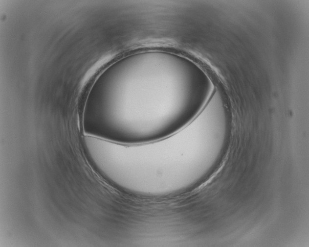 X0000076301317200609290719