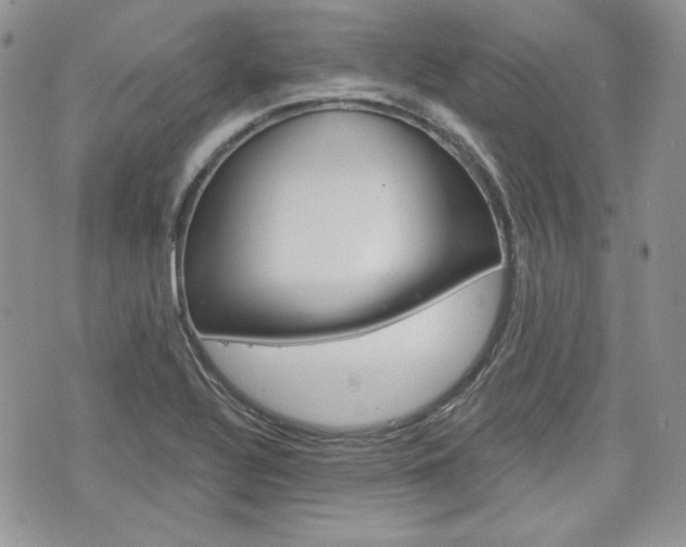 X0000076301320200609290719