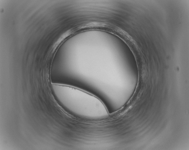 X0000076301321200609290719