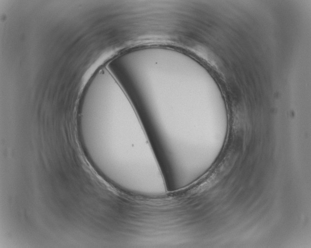 X0000076301325200609290719