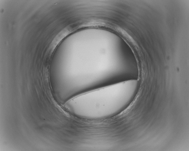 X0000076301329200609290719