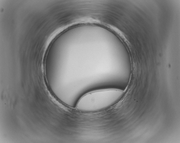 X0000076301335200609290719