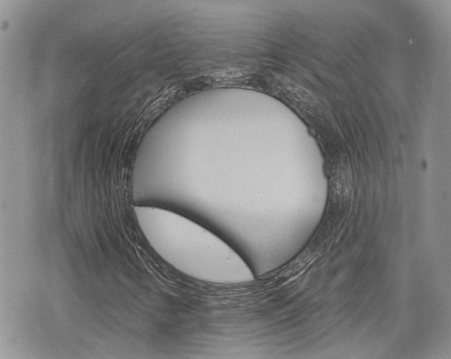 X0000076301346200609290719