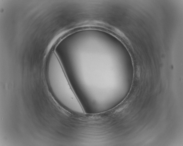X0000076301368200609290718