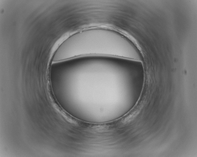 X0000076301373200609290718