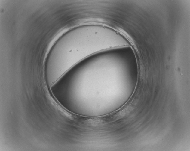 X0000076301384200609290718