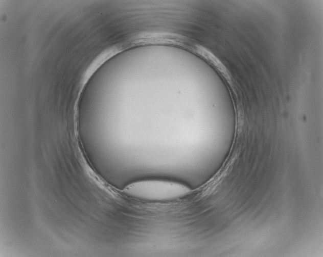 X0000076301386200609290718