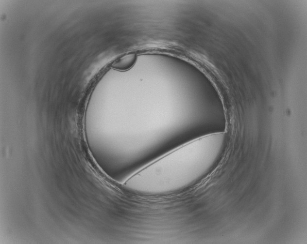 X0000076301404200609290717