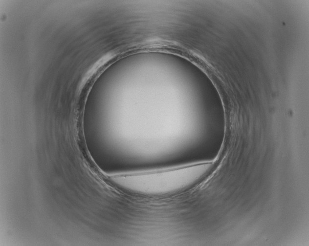 X0000076301410200609290717