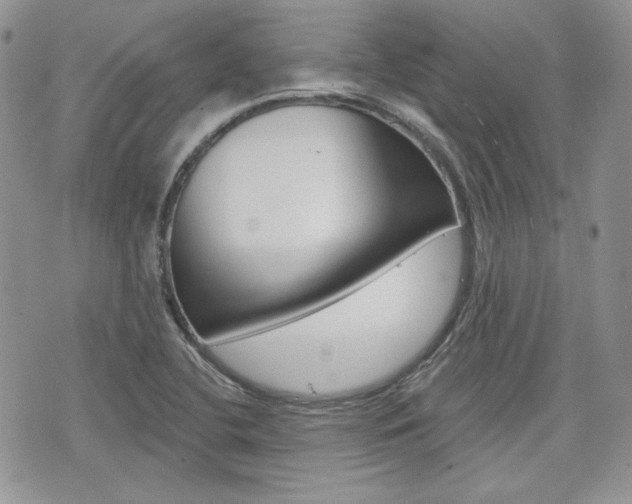 X0000076301412200609290717