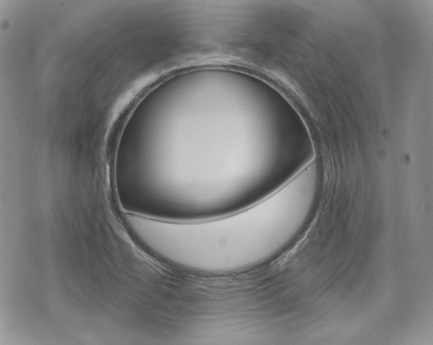 X0000076301414200609290718