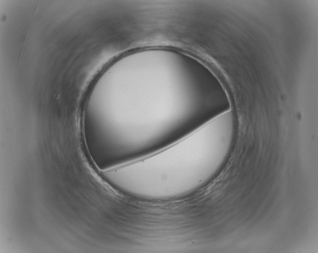 X0000076301416200609290718