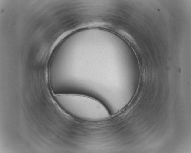 X0000076301420200609290718