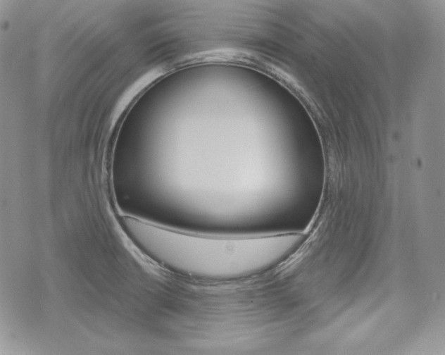 X0000076301426200609290718