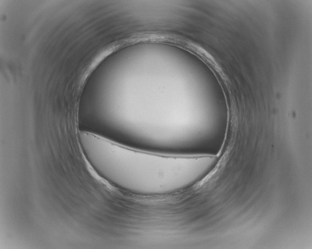 X0000076301433200609290718