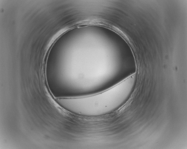 X0000076301434200609290718