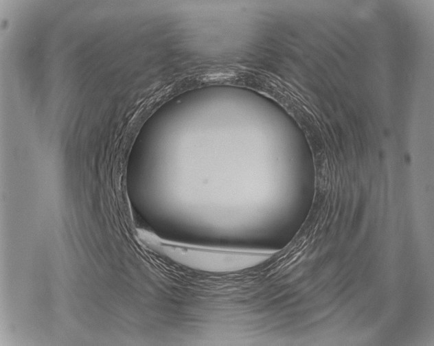 X0000076301441200609290717