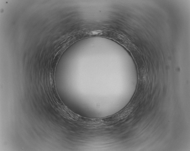X0000076301442200609290717