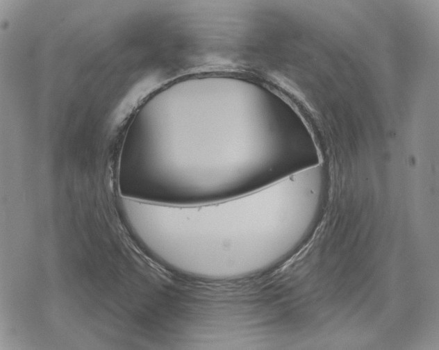 X0000076301455200609290717