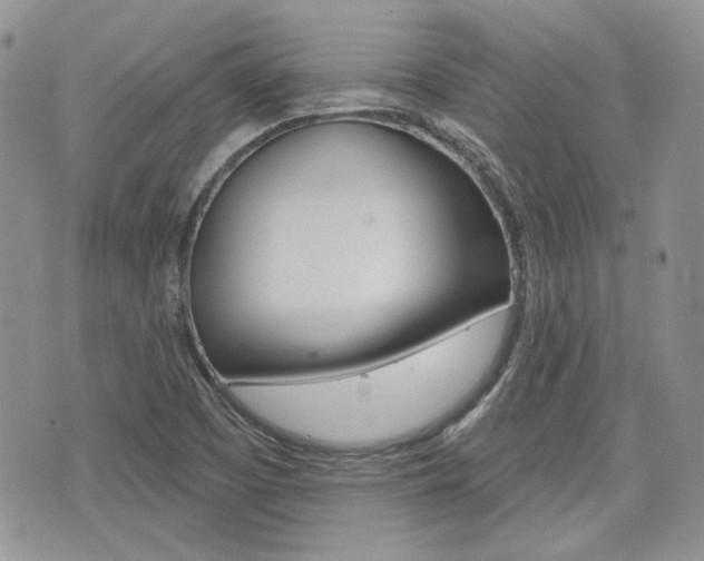 X0000076301457200609290717