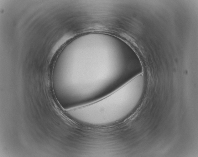 X0000076301458200609290717
