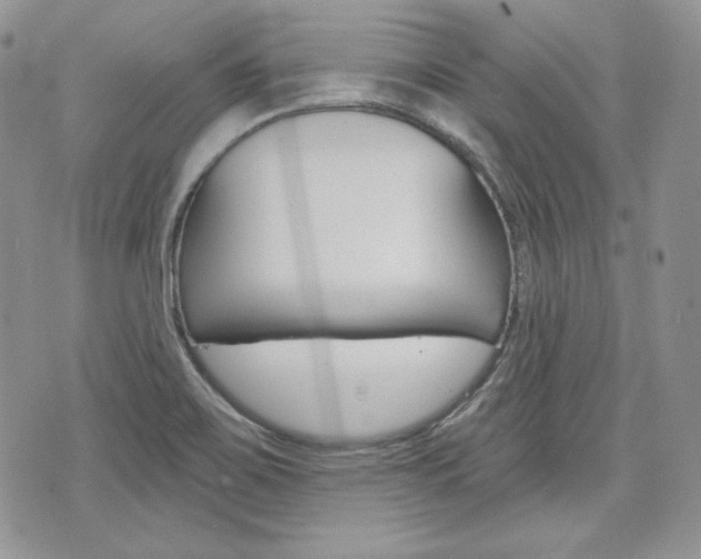 X0000076301467200609290717