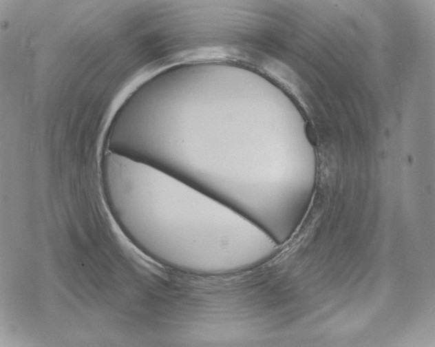 X0000076301475200609290717
