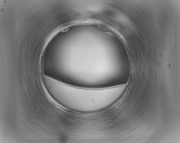 X0000076301483200609290716