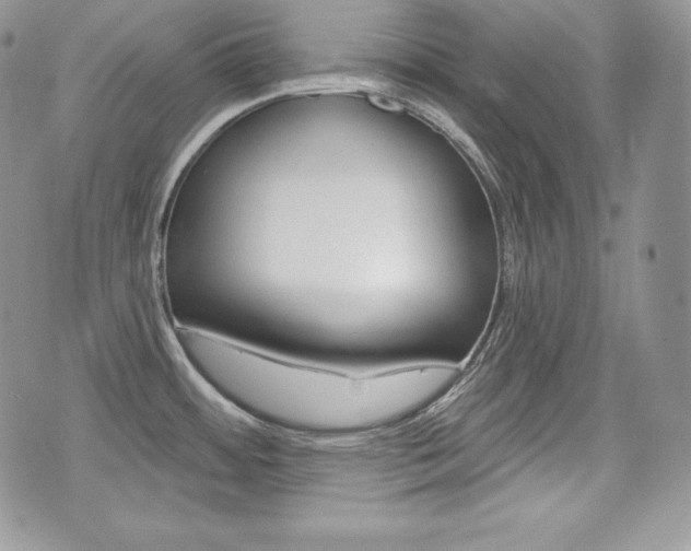 X0000076301484200609290716