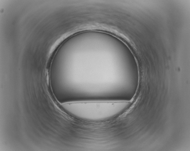 X0000076301509200609290716