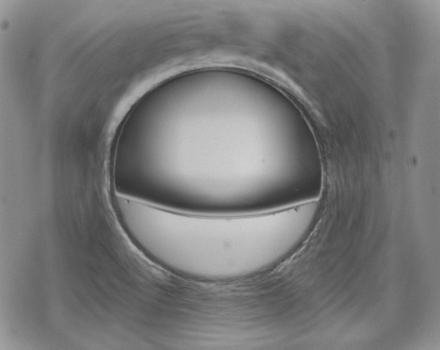 X0000076301512200609290716