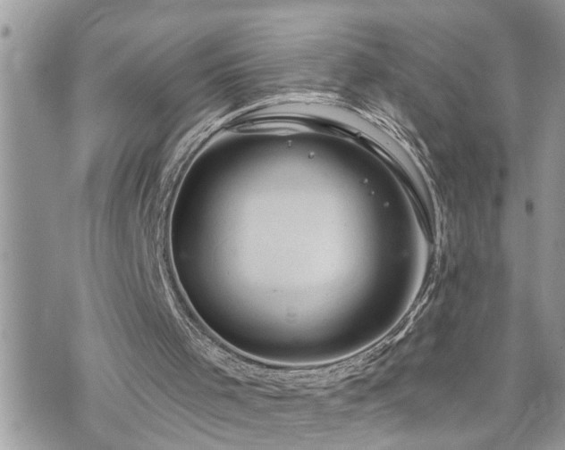 X0000076300001200609291047