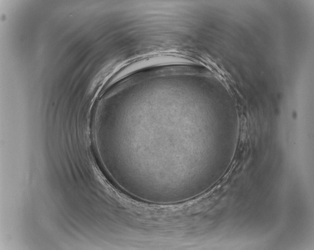 X0000076300002200609291047