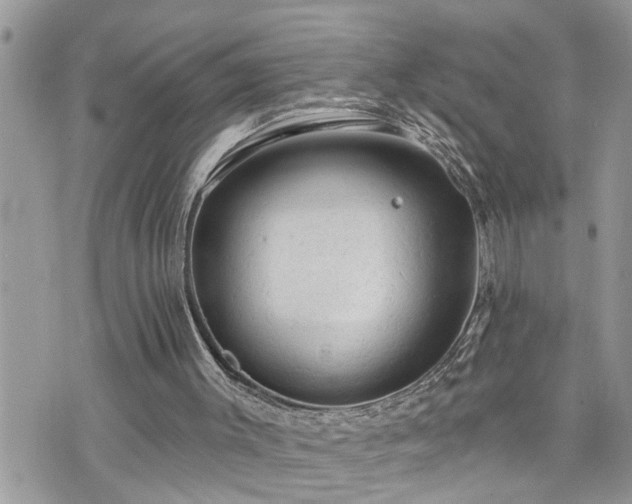 X0000076300003200609291047