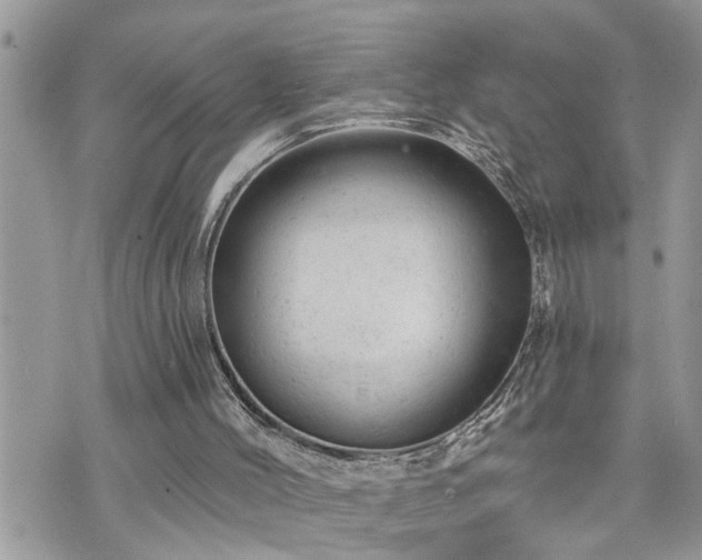 X0000076300004200609291047