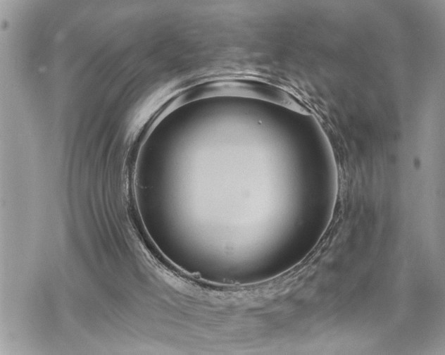 X0000076300005200609291047