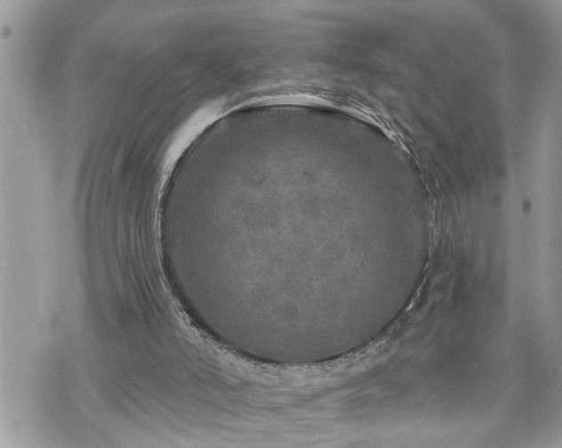 X0000076300006200609291047