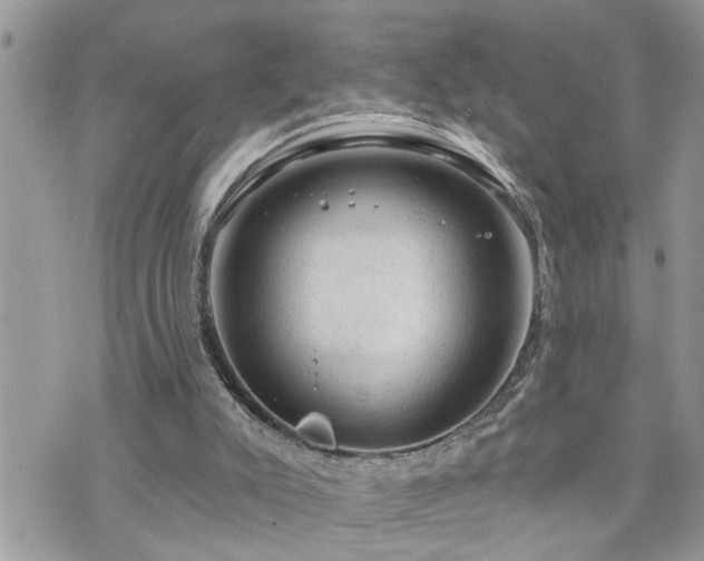 X0000076300007200609291047