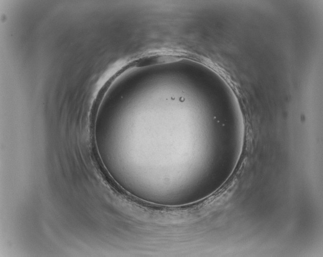 X0000076300008200609291047