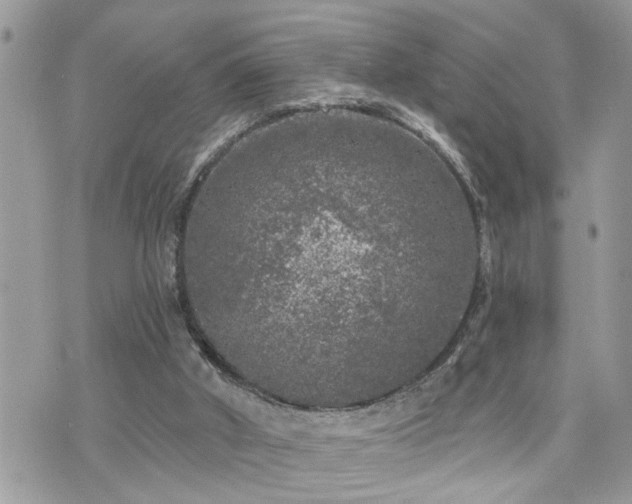 X0000076300010200609291047