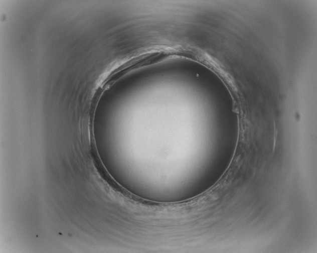 X0000076300011200609291047