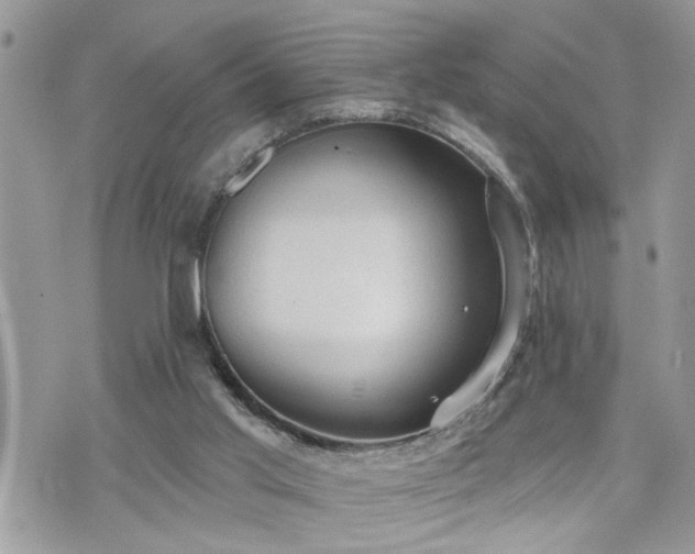 X0000076300013200609291047