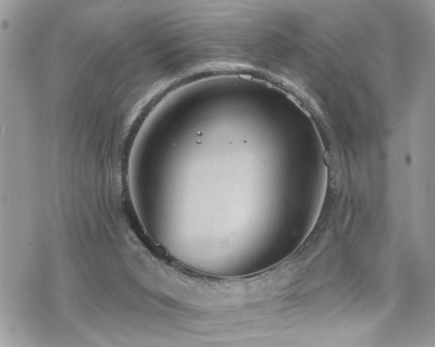 X0000076300015200609291047