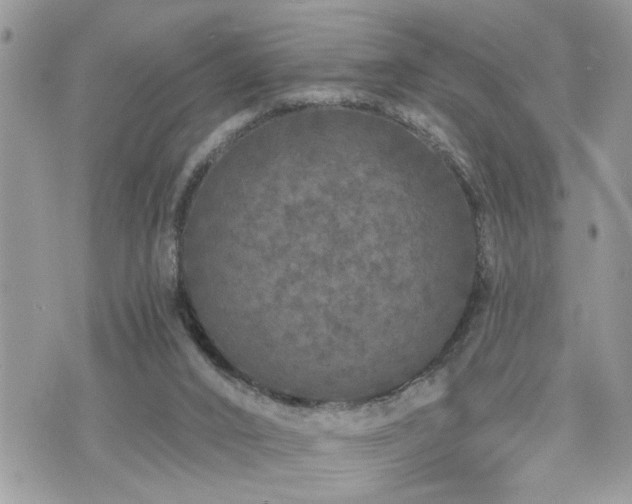 X0000076300016200609291047