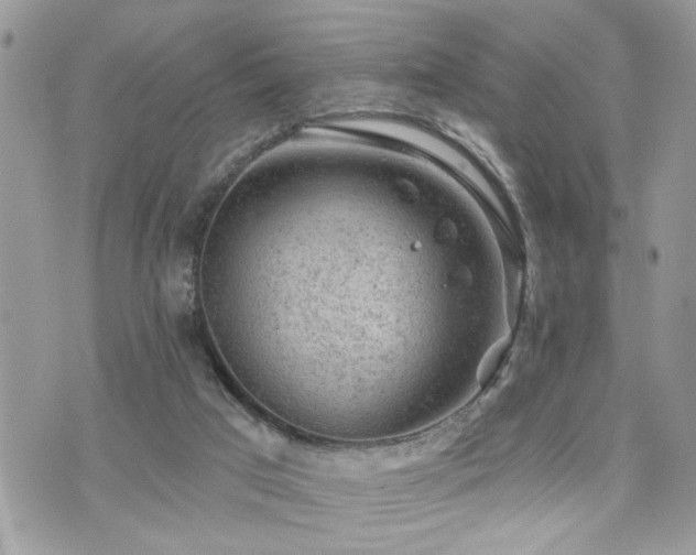 X0000076300017200609291047