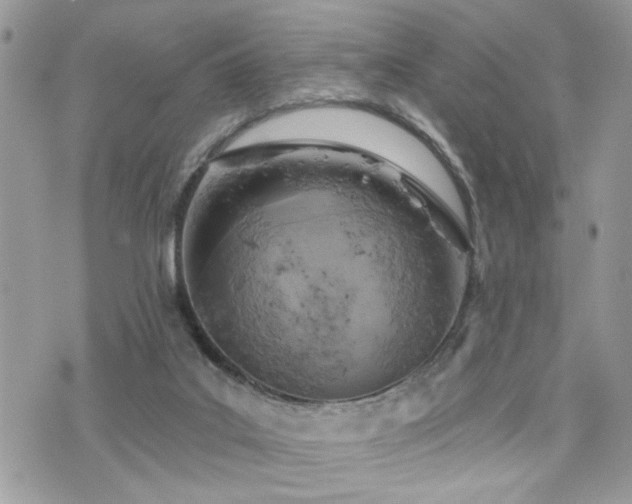 X0000076300019200609291047