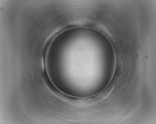 X0000076300020200609291047